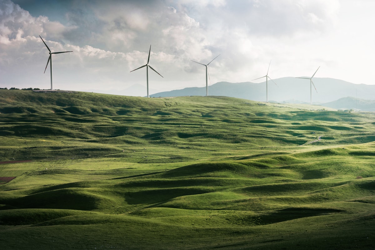 Spain's role in renewable energy