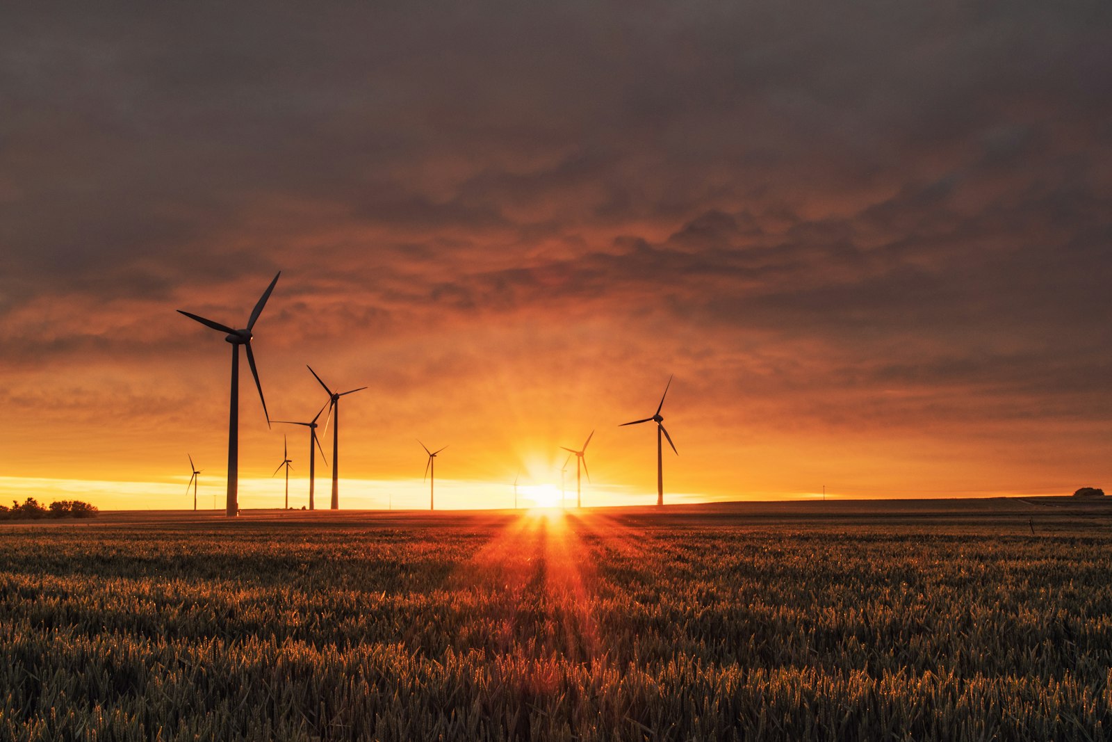 Global warming and the carbon footprint